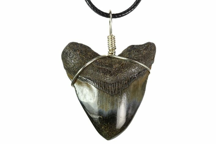 Fossil Megalodon Tooth Necklace #130371